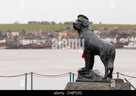 Statue de chien Bamse - mascotte des Forces norvégiennes libres pendant la Seconde Guerre mondiale - Montrose, Écosse, Royaume-Uni Banque D'Images