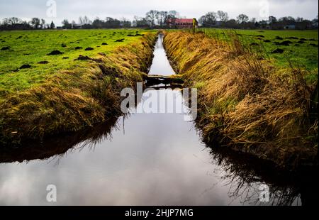 Meggerdorf, Allemagne.31st janvier 2022.L'eau traverse un fossé de réception devant une ferme dans une zone de plaine du Schleswig-Holstein.Albrecht, ministre de l'Environnement du Schleswig-Holstein, a présenté la stratégie des basses terres du gouvernement de l'État.Elle se préoccupe principalement de drainer les parties basses de l'état à mesure que le niveau des mers augmente.Credit: Axel Heimken/dpa/Alay Live News Banque D'Images