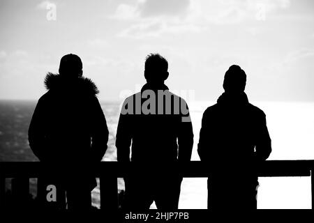 Photo arrière de trois hommes silhouettés se tenant côte à côte et appréciant la vue Banque D'Images