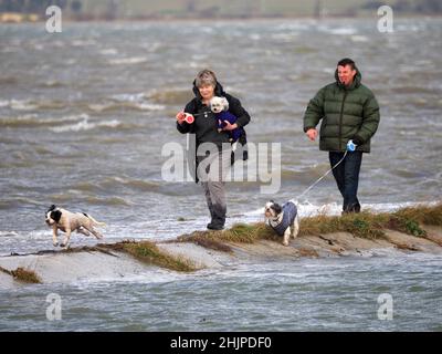 Medway, Kent, Royaume-Uni.31st janvier 2022.Météo au Royaume-Uni : une marée montante a provoqué des niveaux d'eau élevés et des inondations dans l'estuaire de Medway à midi.Photo : une femme porte son chien en sécurité après une inondation partielle à Riverside Park, Gillingham.Crédit : James Bell/Alay Live News Banque D'Images