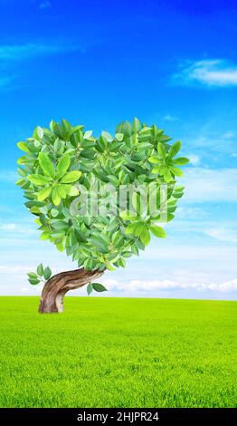 Paysage idyllique avec herbe verte, ciel bleu et arbre avec couronne en forme de coeur.Consommation responsable.Coeur fait de feuilles vertes dans la prairie.Amour de Banque D'Images