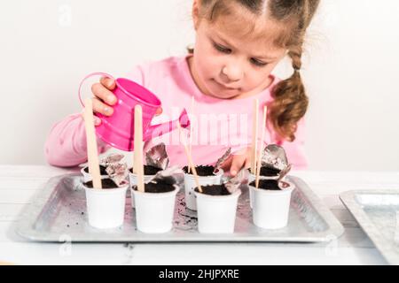 Petite fille plantant des graines dans des dosettes de café pour démarrer un jardin de légumes intérieur. Banque D'Images