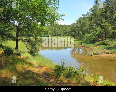 L'estuaire saumâtre sépare les villes de Yarmouth et Dennis sur la rivière Bass à Cape Cod, Massachusetts.Près du pont à vélo Cape Cod Rail Trail. Banque D'Images