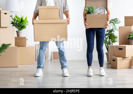 Pantacourt jeune femme et homme européens dans des vêtements décontractés tenir boîte en carton avec des effets personnels et des plantes Banque D'Images