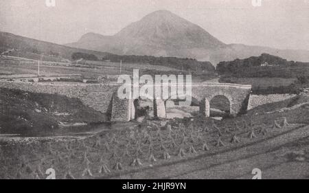 Mont errigal, hauteur de forme de l'Ulster, vu du pont de Barney Gweedore. Irlande (1923) Banque D'Images