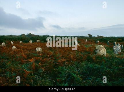 Vue E du cercle de pierres de Boscawen-un, St Buryan, Cornwall, Angleterre, Royaume-Uni: Un ovale de 19 pierres régulièrement espacées avec une fente (entrée?)On W (centre avant) Banque D'Images