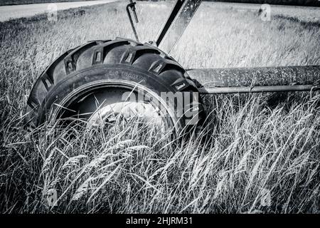 Un noir et blanc de graminées coulant autour d'un pneu et d'une roue de tracteur sur un morceau de machine. Banque D'Images