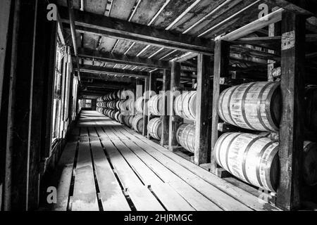 Visite d'une distillerie de bourbon rick House.En regardant dans l'allée toutes les rangées de barils de vieillissement. Banque D'Images