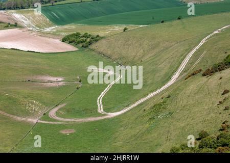 Vue sur les champs dans les South Downs avec un sentier de craie qui les traverse Banque D'Images