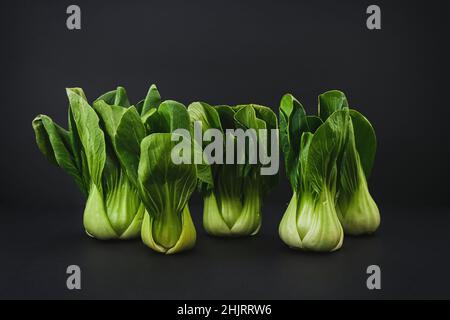 Bouquet de bébé vert bio Bok Choy ou Brassica rapa chinensis sur fond noir.Légumes chinois pour la cuisine asiatique Banque D'Images