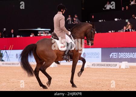 Daniel Martin Dockx (ESP) avec Manchego ARB (PRE) lors de la coupe du monde de la FEI de Longines 2019 le 30 2019 novembre à la semaine du cheval de Madrid, Espagne Banque D'Images