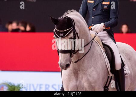 Hans Peter Minderhoud (NED) et Zanardi de Glock (KWPN) lors de la coupe du monde de la FEI de Longines le 29 2019 novembre à la semaine du cheval de Madrid, Espagne Banque D'Images