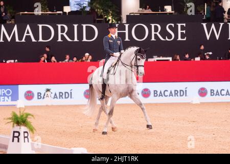 Hans Peter Minderhoud (NED) et Zanardi de Glock (KWPN) lors de la coupe du monde de la FEI de Longines le 29 2019 novembre à la semaine du cheval de Madrid, Espagne Banque D'Images