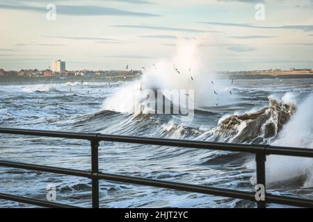 Vagues de tempête sauvage à Whitley Bay, North Tyneside Banque D'Images