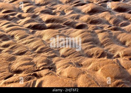 Un plan de bas niveau des ondulations créées dans les sables d'une plage avec le reflux et le flux des marées, illuminés obliquement par un soleil d'après-midi hiverne. Banque D'Images