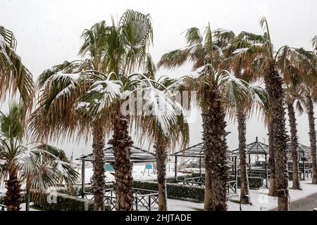 Belek, Antalya, Turquie - 26 janvier 2022 : fortes chutes de neige sur la côte méditerranéenne.Tempête de neige et palmiers blancs.Plages et hôtel vides Banque D'Images