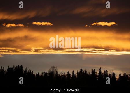 Nuages reflétant les derniers rayons du soleil du soir sur la forêt à l'heure d'or dans le parc provincial Fish Creek, Calgary, Canada Banque D'Images