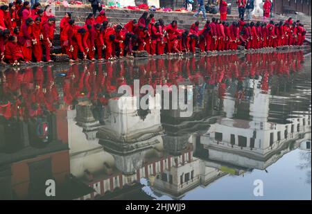 Katmandou, ne, Népal.1st févr. 2022.Les adeptes hindous népalais se rassemblent sur les rives de la rivière Bagmati, près du temple de Pashupatinath, lors du festival Narayan de Madhav, à Katmandou, au Népal, le 1 février 2022.(Image de crédit : © Aryan Dhimal/ZUMA Press Wire) Banque D'Images