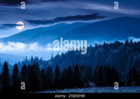 forêt de conifères sur la colline la nuit. nature foggy paysage dans la pleine lumière de lune. magnifique paysage de montagne en automne avec des nuages sur le ciel Banque D'Images