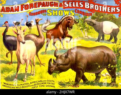 Adam Forepaugh et vend l'affiche de Bros Circus - Animal Act Banque D'Images