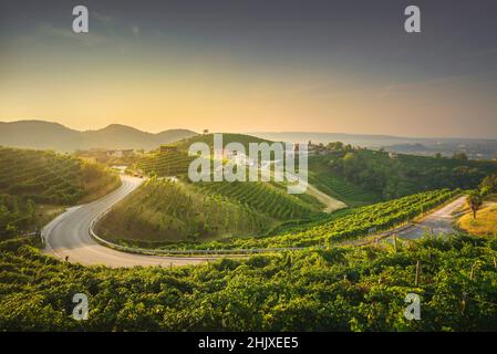 Vignobles et une route au lever du soleil.Prosecco Hills, site classé au patrimoine mondial de l'UNESCO.Valdobbiadene, Vénétie, Italie Banque D'Images