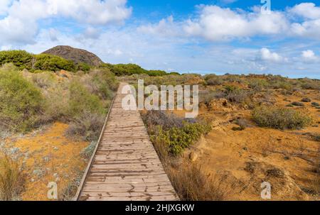 Une longue promenade en bois mène à travers un écosystème côtier fragile de dunes de sable Banque D'Images