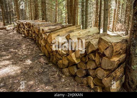 Préparation en hiver.Gerbage de bois de chauffage.Pile de bois de chauffage.Bois de chauffage de fond. Banque D'Images