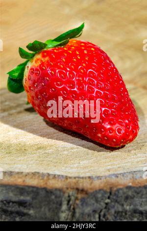 Fraises.Fraise reposant sur un tronc texturé brun.Photographie verticale. Banque D'Images