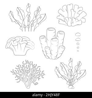 Jeu d'illustrations en noir et blanc avec coraux et algues.Objets vectoriels isolés sur fond blanc. Illustration de Vecteur