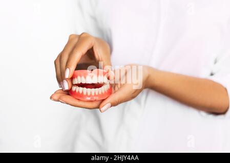 Prothèse dentaire dans les mains du médecin en gros plan.Dentiste tenant un pont dentaire en céramique.Vue avant de la prothèse complète.Pho conceptuel de la dentisterie Banque D'Images
