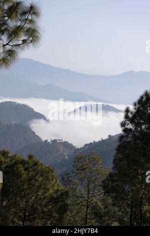 Binsar avec vue panoramique sur les montagnes, Uttarakhand, Inde Banque D'Images