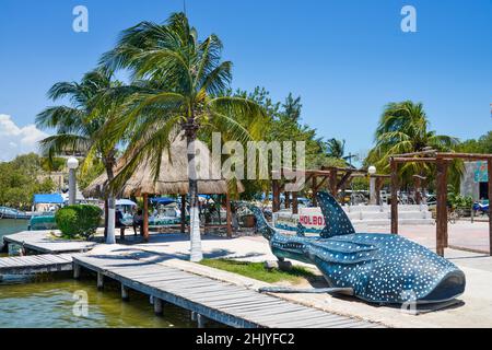 Walhai, Attrappe, Isla Holbox, Quintana Roo, Mexique Banque D'Images