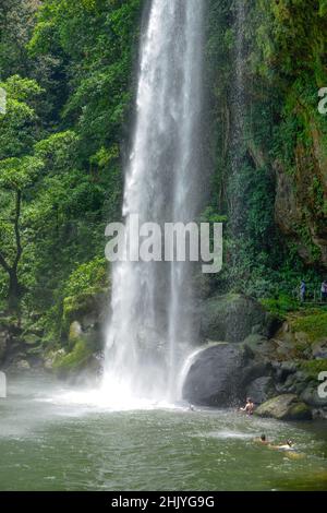 Wasserfall Misol-Ha, Chiapas, Mexique Banque D'Images