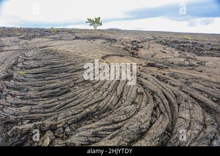 Une « sea » de lave s'étend de Kilauea jusqu'à la mer sur Big Island. Banque D'Images