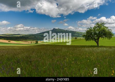 Vue sur Hohenstoffeln à Hegau, Bade-Wurtemberg, Allemagne Banque D'Images