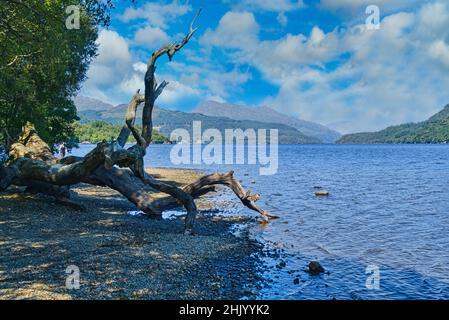 Loch Lomond au point de vue de Firkin, près de Luss.Loch Lomond et parc national de Trossachs, West Dumbartonshire, Écosse, Royaume-Uni Banque D'Images