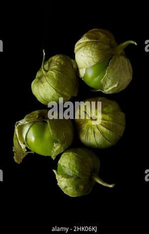 Tomates vertes tomatillo Husk sur fond noir Banque D'Images