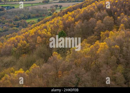 En regardant vers le sud le long du flanc est des collines de Malvern, le jour de l'automne. Banque D'Images