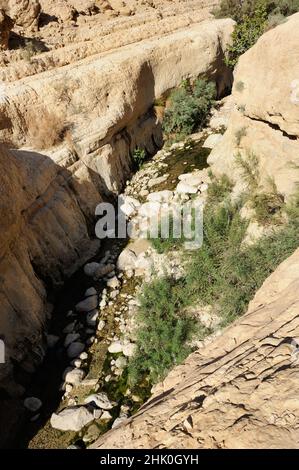 Dans les montagnes de la Réserve Naturelle d'Ein Gedi, sur les rives de la mer Morte en Israël. Banque D'Images