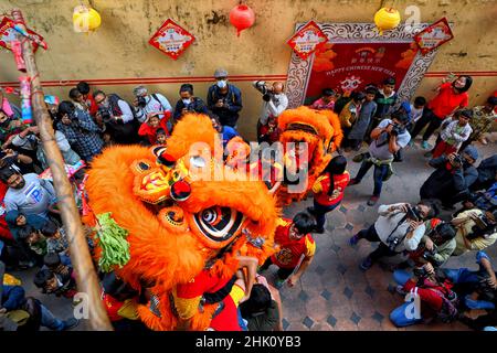 Kolkata, Inde.01st févr. 2022.Les personnes vêtues de costumes de dragon se produit lors de la célébration du nouvel an lunaire.le nouvel an lunaire tombe le 1 février, pour accueillir l'année du tigre et sa célébration par les Chinois du monde entier.Crédit : SOPA Images Limited/Alamy Live News Banque D'Images