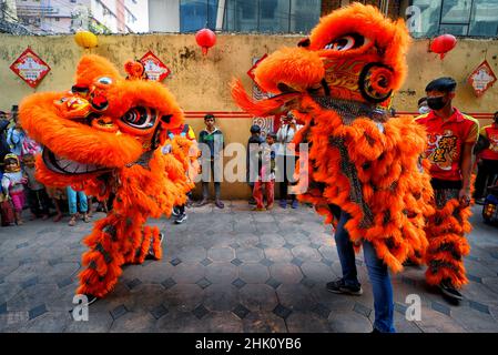 Kolkata, Inde.01st févr. 2022.Les personnes vêtues de costumes de dragon se produit lors de la célébration du nouvel an lunaire.le nouvel an lunaire tombe le 1 février, pour accueillir l'année du tigre et sa célébration par les Chinois du monde entier.Crédit : SOPA Images Limited/Alamy Live News Banque D'Images