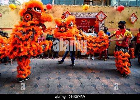 Kolkata, Inde.01st févr. 2022.Les personnes vêtues de costumes de dragon se produit lors de la célébration du nouvel an lunaire.le nouvel an lunaire tombe le 1 février, pour accueillir l'année du tigre et sa célébration par les Chinois du monde entier.Crédit : SOPA Images Limited/Alamy Live News Banque D'Images