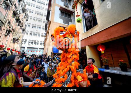 Kolkata, Inde.01st févr. 2022.Les personnes vêtues de costumes de dragon se produit lors de la célébration du nouvel an lunaire.le nouvel an lunaire tombe le 1 février, pour accueillir l'année du tigre et sa célébration par les Chinois du monde entier.Crédit : SOPA Images Limited/Alamy Live News Banque D'Images