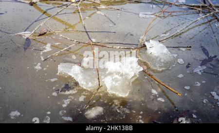 Branches d'arbre tombées ou cassées sur la glace d'un lac ou d'une rivière gelé dans l'après-midi au printemps.Morceaux de glace sur l'eau gelée. Banque D'Images