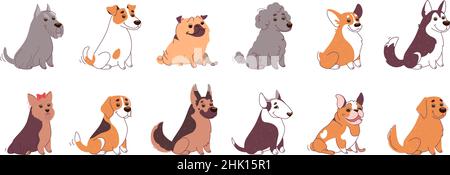 Collection de chiens de différentes races. Husky, Labrador, Bull Terrier, Welsh Corgi, Poodle, PUG, Bulldog, Berger allemand, Jack Russell Terrier, Schnauzer et Yorkshire Terrier. Vecteur défini dans le style plat. Illustration de Vecteur