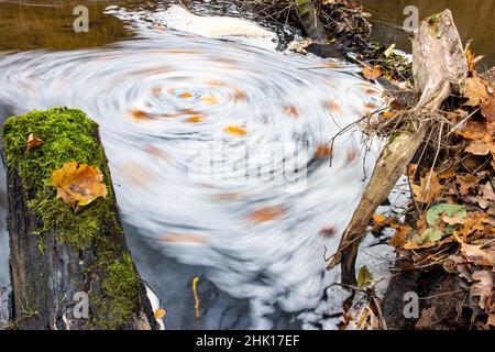 Mousse tourbillonnante sur la surface de l'eau d'un ruisseau forestier avec des souches sur la rive. Banque D'Images