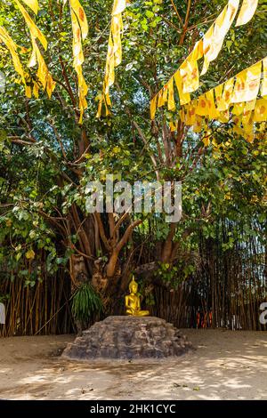 Drapeau de prières jaunes de tradition dans le temple de Wat Phan Tao, Chiang Mai Banque D'Images