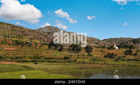 Paysage typique de Madagascar - rizières en terrasse vertes et jaunes Sur de petites collines avec des maisons en argile dans la région près d'Ambositra Banque D'Images