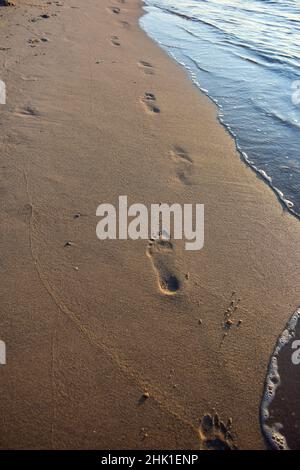 Empreintes humaines sur une plage de sable s'étendant au loin.À droite, les vagues se roulent sur la rive Banque D'Images