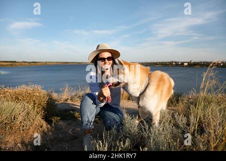 Chien drôle Akita Inu jouant avec le jouet et le propriétaire à l'extérieur Banque D'Images